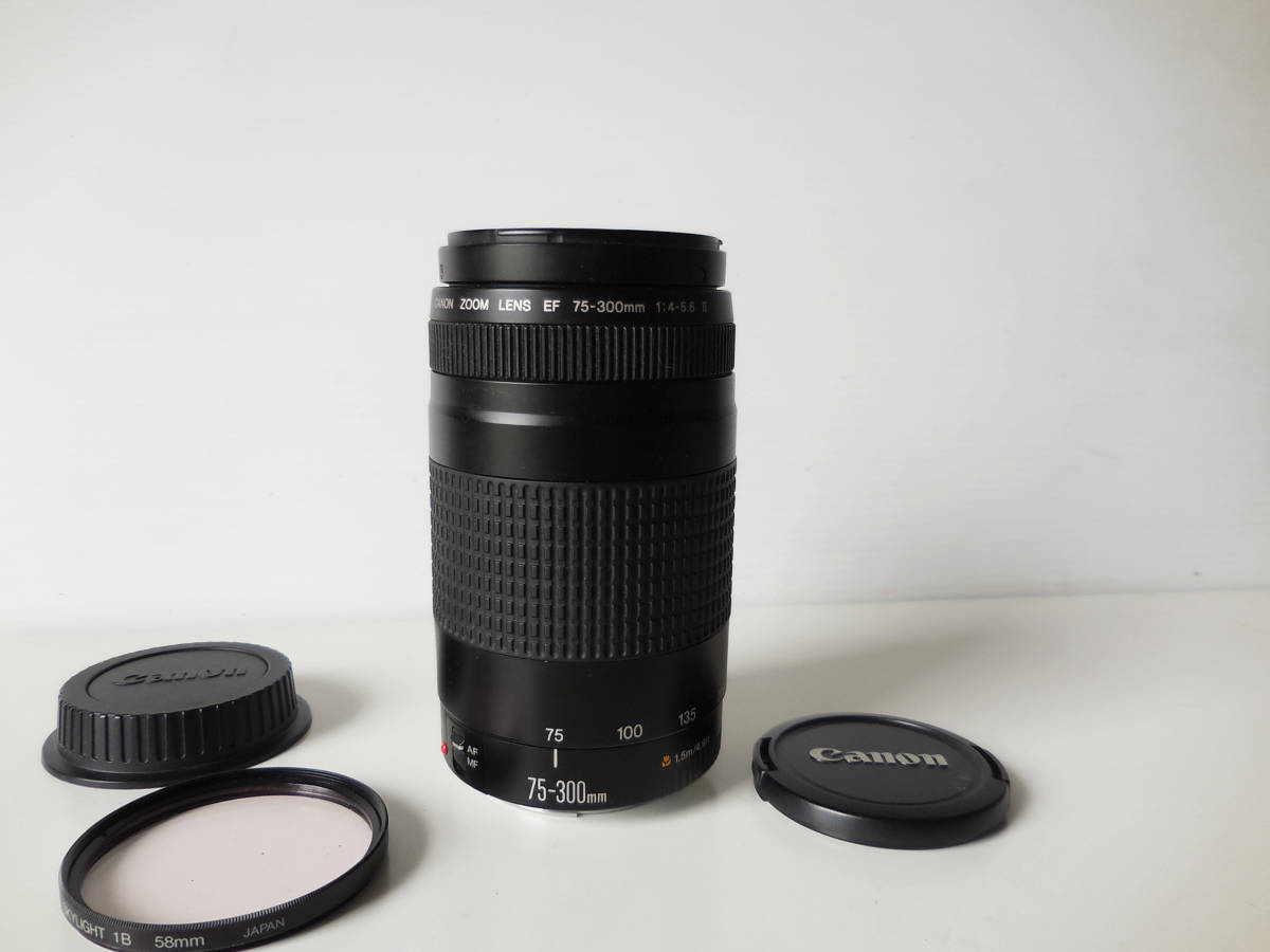 75-300mm Canon ズームレンズ USM F4-5.6 EF EF75-300mm - f4-5.6