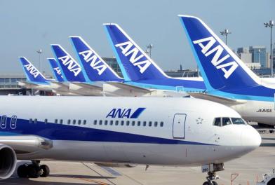 クレジットカードOK! ANA 全日空 750マイル 提携施設のご利用に！口座へ加算 全日空 国内線 国際線 航空券 マイレージクラブ_1