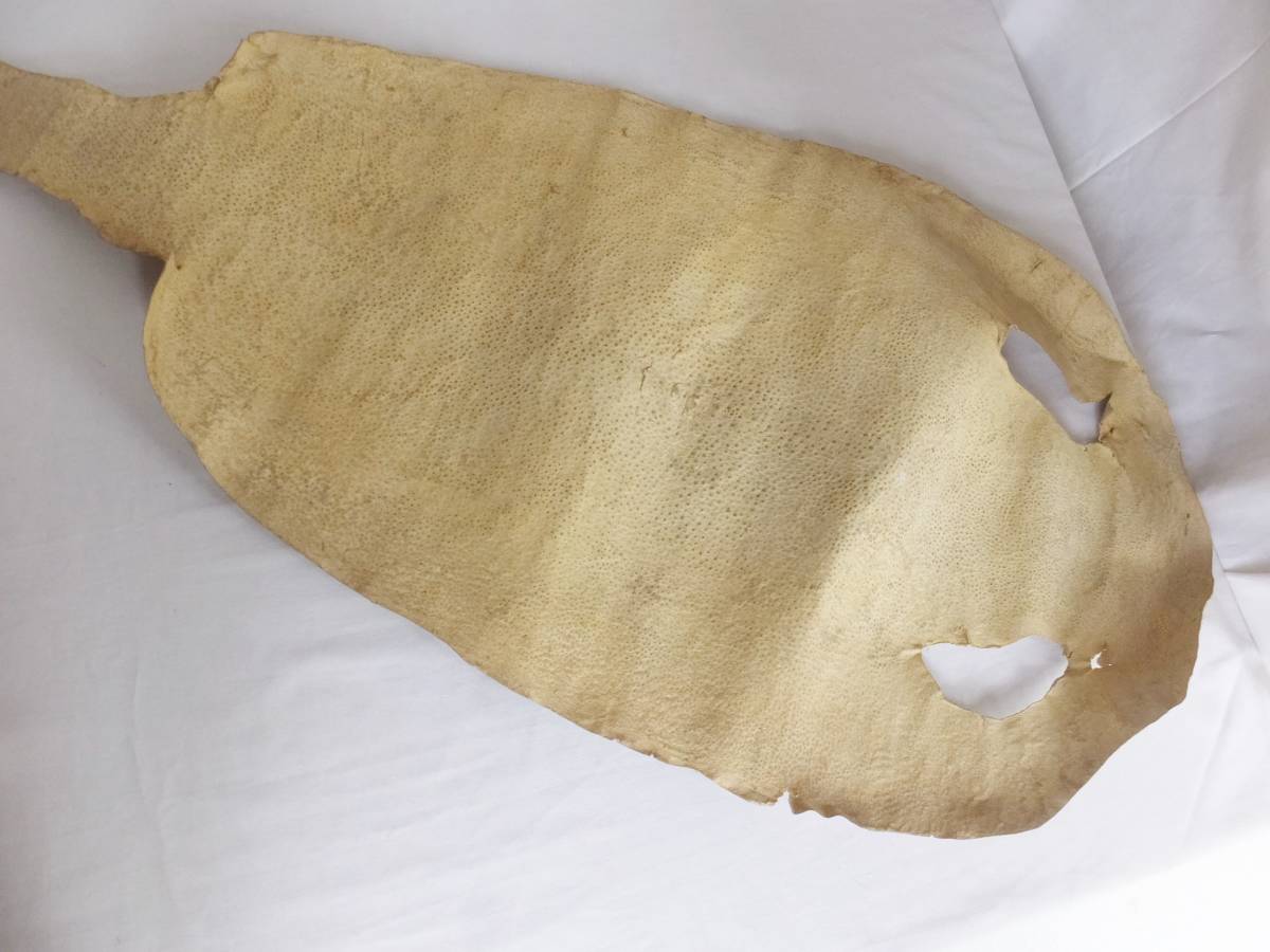 2026年最新Yahoo!オークション -日本刀 鮫皮の中古品・新品・未 時代物 クラフト 木柄 太刀 革巻き 日本刀 脇差 鮫皮 刀 武道具 柄巻 日本刀拵え 刀装「鮫皮」／ホームメイト