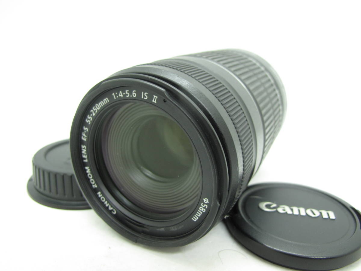 F4-5.6 IS EF-S55-250mm キヤノン APS-C対応望遠レンズ Canon STM STMを