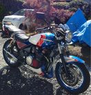 ゼファー400 カスタム 沖縄仕様 YSPカラー 全国発送可(ｶﾜｻｷ)｜売買され