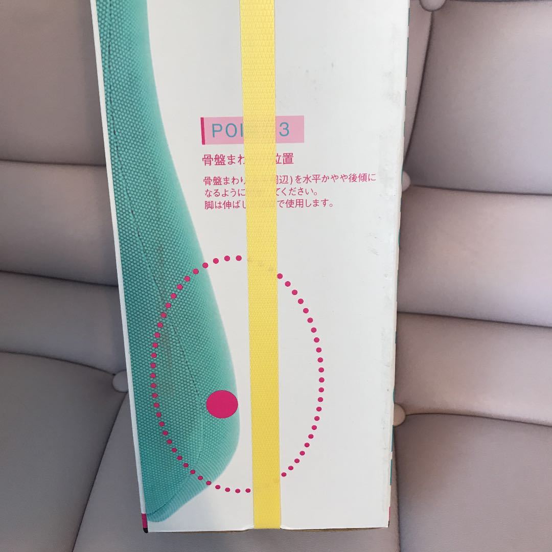 体幹エクサポール | PROIDEA プロイデア ◇◇◇ 0070-3930 (PROIDEA) PROIDEA（プロイデア） ストレッチポール 佐久間健一の 長さ エクササイズポール ヨガポール ストレッチ用ポール 価格 ストレッチ