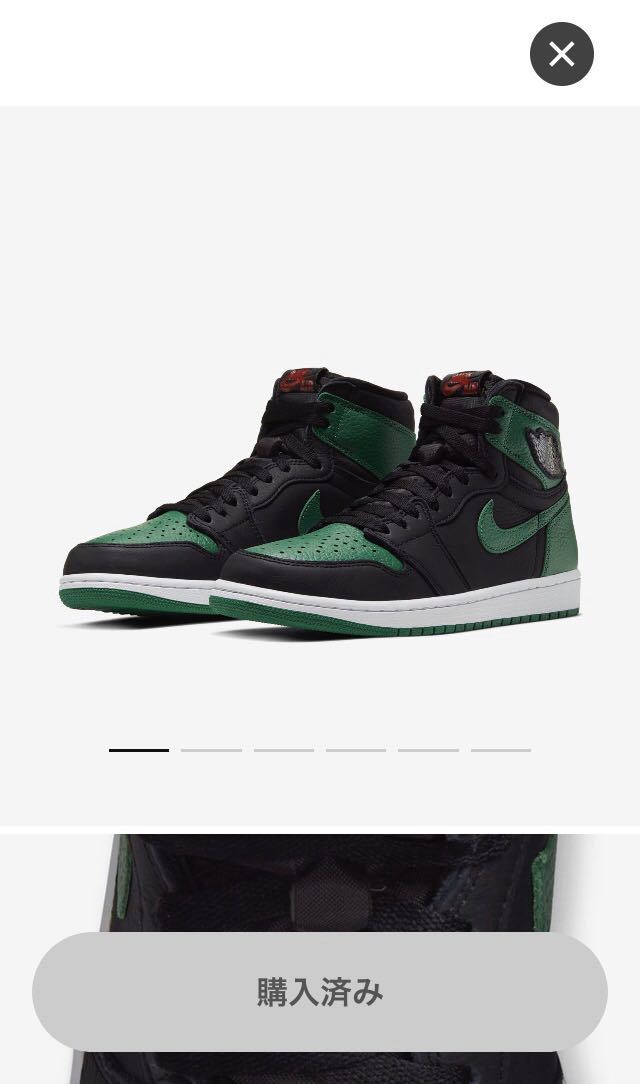 送料無料 SNKRS 先行 27cm ナイキ エアジョーダン1 パイングリーン