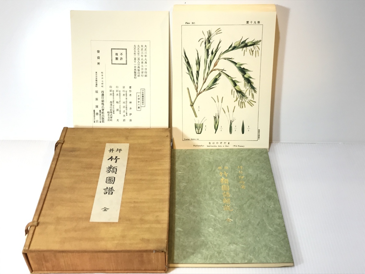 ⁄ 坪井竹類図譜 解説共(坪井伊助) 古本、中古本、古書籍の通販