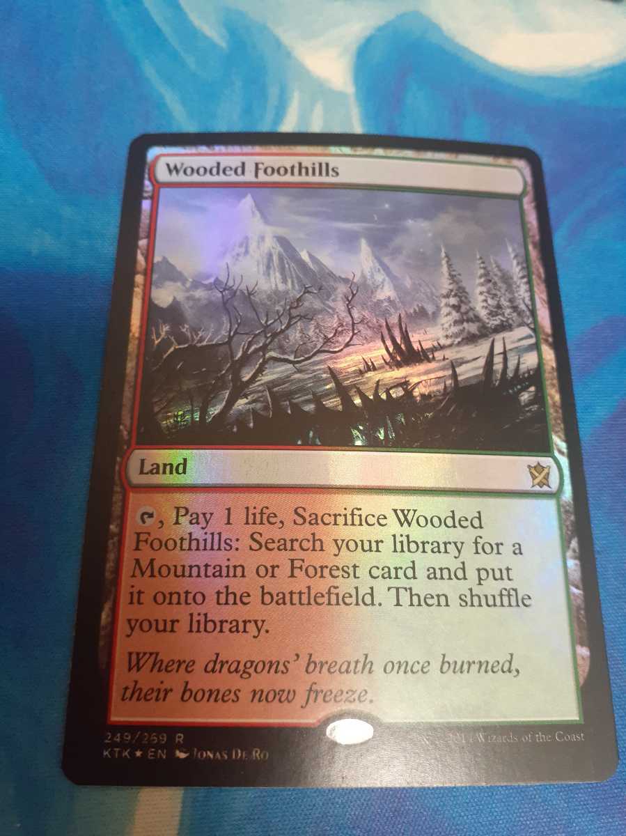 MTG 樹木茂る山麓 旧枠英語foil 1枚 【公式通販】