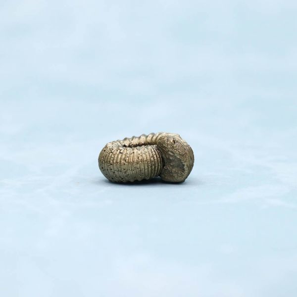 アンモナイト　化石　天然　アクセサリー　ペンダントトップ　素材　黄鉄鉱　１８ｍｍ　7365_4