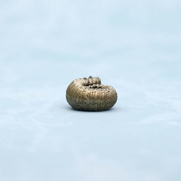 アンモナイト　化石　天然　アクセサリー　ペンダントトップ　素材　黄鉄鉱　１８ｍｍ　7365_5