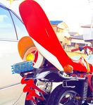 ジャパンテール チェリーテール ヤンキーテール ホークII ゼファー gs