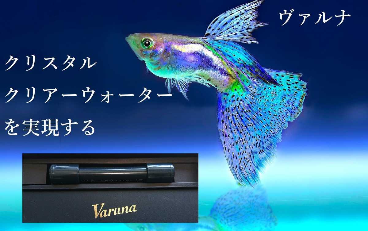 魚用品・水草 水槽の透明度アップ！有害物質、感染症強力抑制