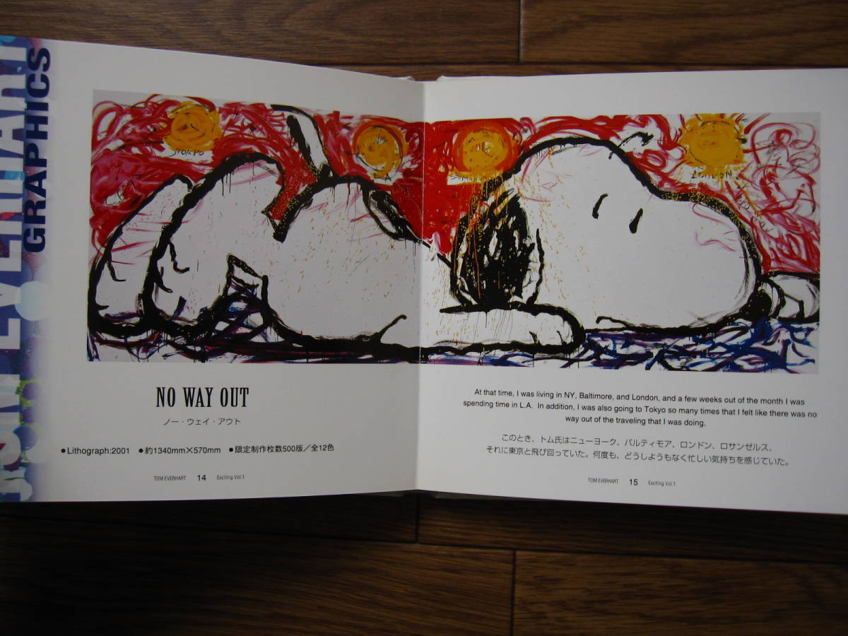 希少本 Tom Everhart Graphics Special Box /SNOOPY /トム・エバハート