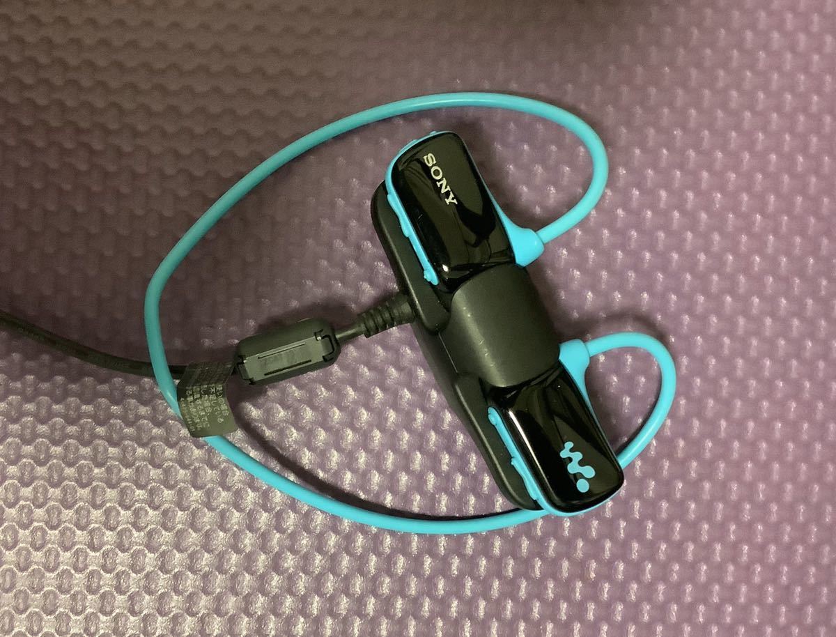 中古美品 SONY WALKMAN バッテリー良好 付属品付き SONY ウォークマン