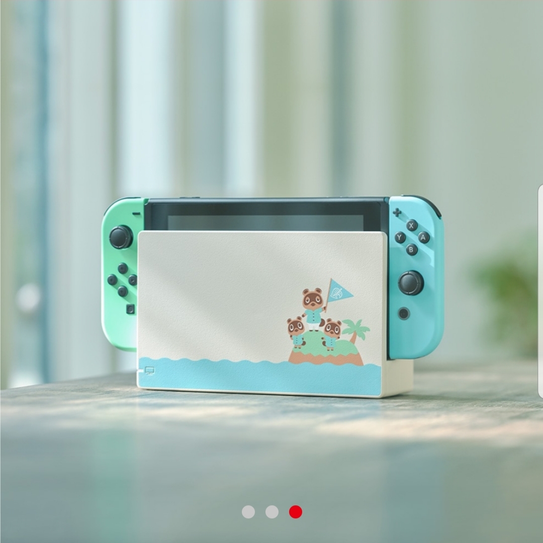 3月20日発売】Nintendo Switch あつまれ どうぶつの森セット 同梱版
