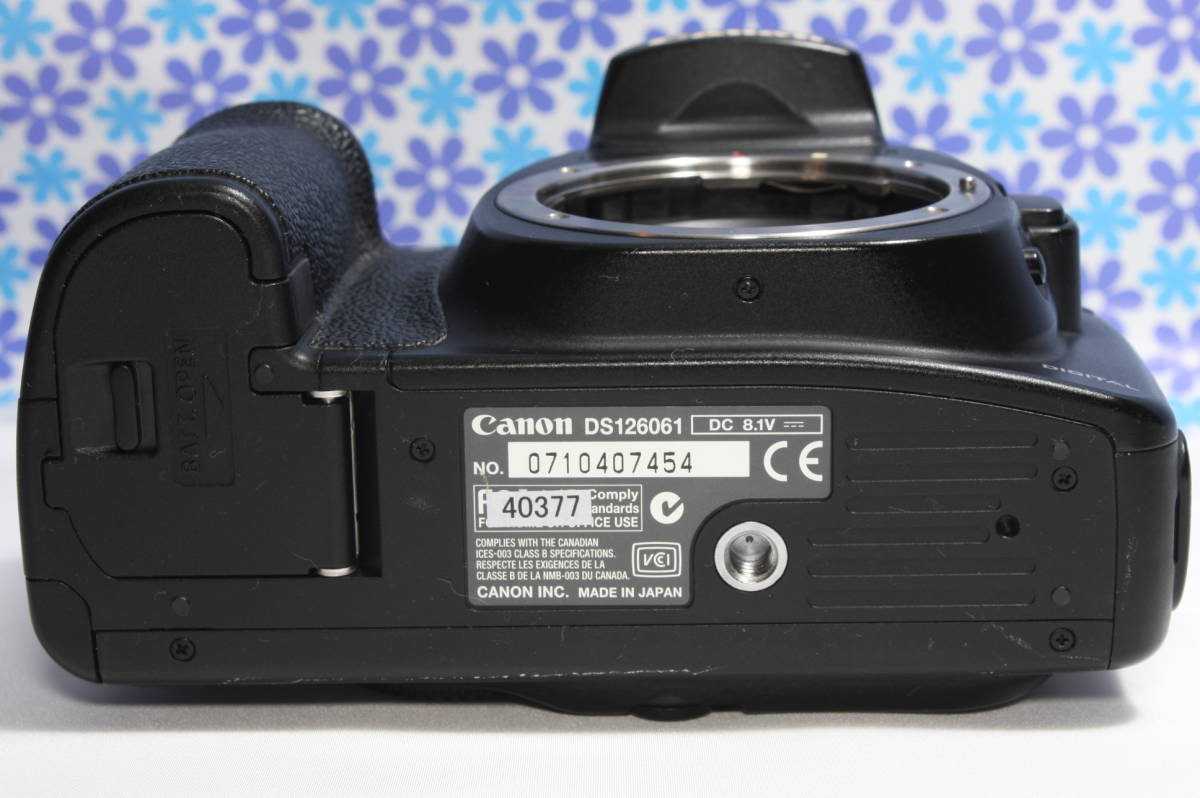 極上美品☆Canon キャノン EOS 20D レンズセット☆高性能・高画質 