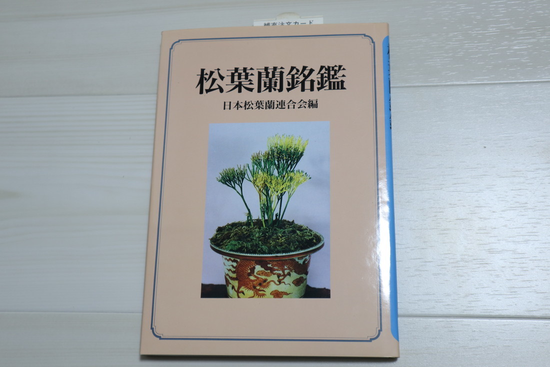 マツバラン 観葉 写真集 図鑑 松葉蘭名鑑 山野草 斑入り 万年青 野草 植物 売買されたオークション情報 Yahooの商品情報をアーカイブ公開 オークファン Aucfan Com