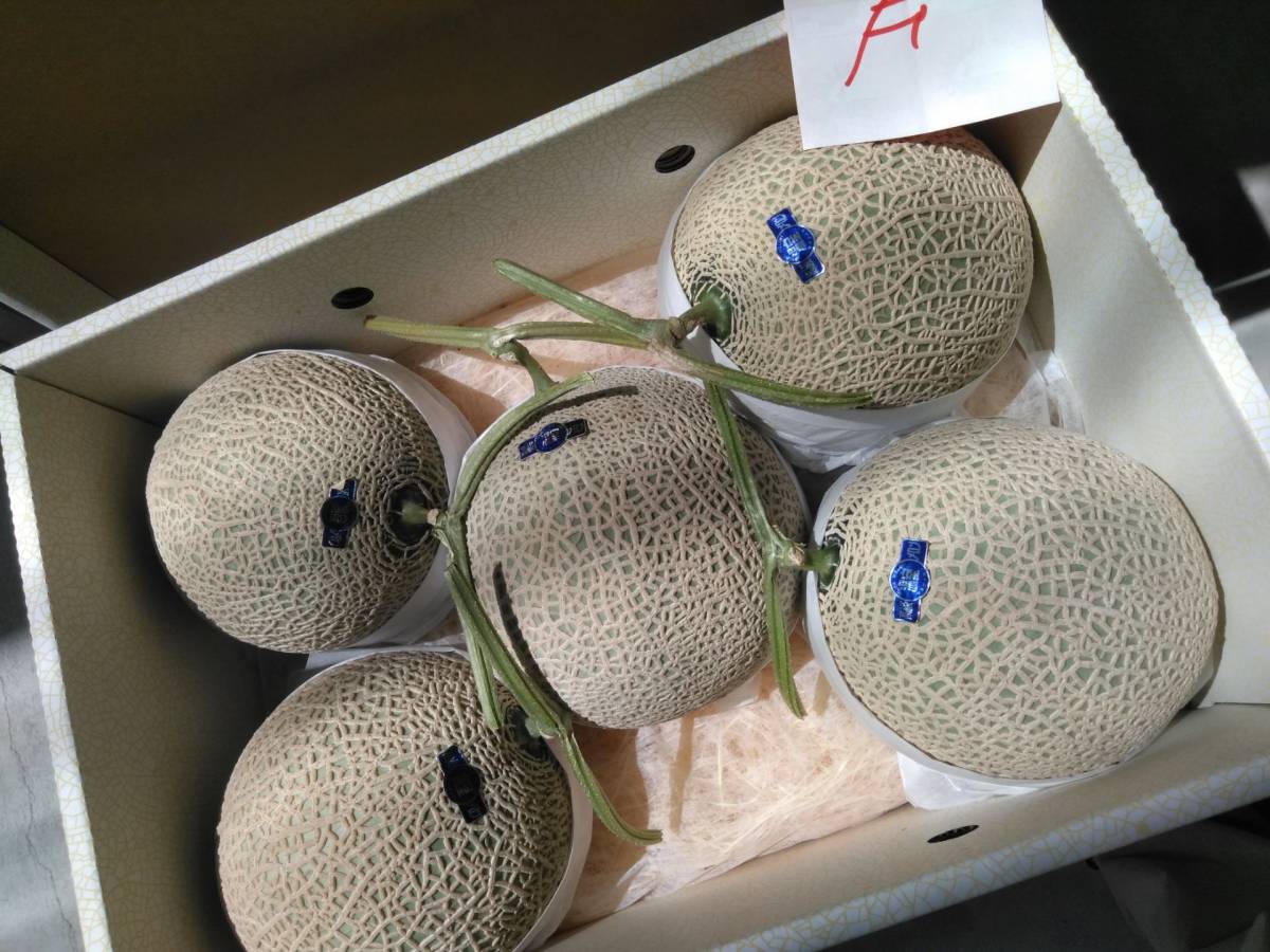 ♪送料無料 E 温室マスクメロン高知産 5玉 約8.7kg 訳あり品 家庭