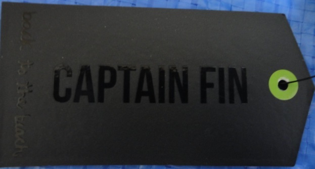 キャプテンフィン FIN CAPTAIN ボードショーツの通販 Fin サーフィン DERBY SWIRL クリックポスト対応] &frasl; captain fin ボードショーツ サーフトランクス シングルタブ キールフィン