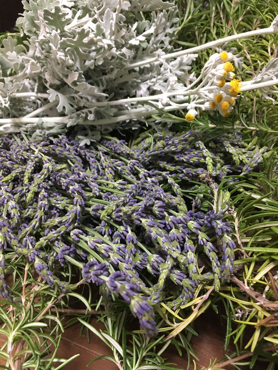 香り立つ無農薬ドライフラワー ローズマリー ダースティーミラー白妙菊 香りの最高峰ラベンダー グロッソ 花束 売買されたオークション情報 Yahooの商品情報をアーカイブ公開 オークファン Aucfan Com