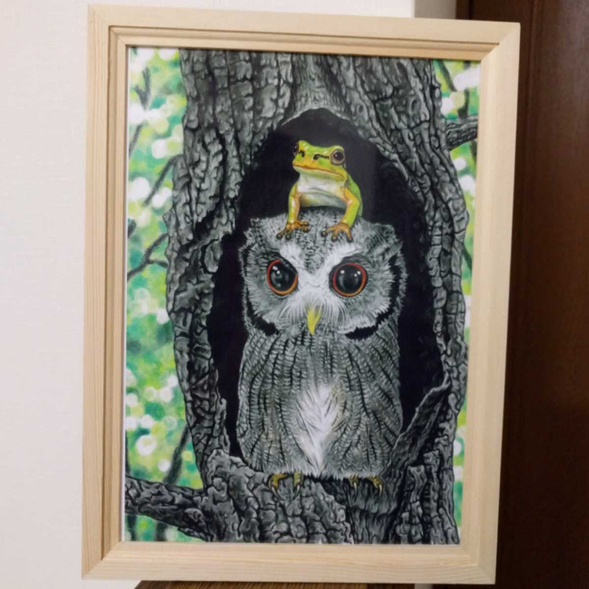 額付き プリント イラスト 絵 フクロウ カエル 可愛い 楽しい 動物 売買されたオークション情報 Yahooの商品情報をアーカイブ公開 オークファン Aucfan Com
