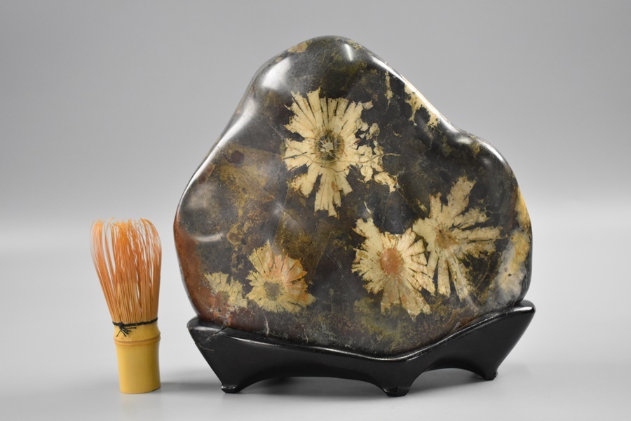 菊花石 鑑賞石 飾石 台付き 約幅約23，5×11，3cm 高さ約22，5cm (台