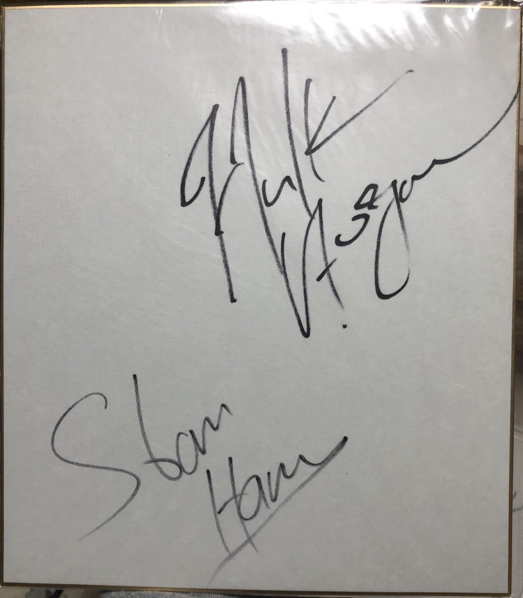 新作入荷，新作】 貴重 ハルク・ホーガン（Hulk Hogan)、スタン