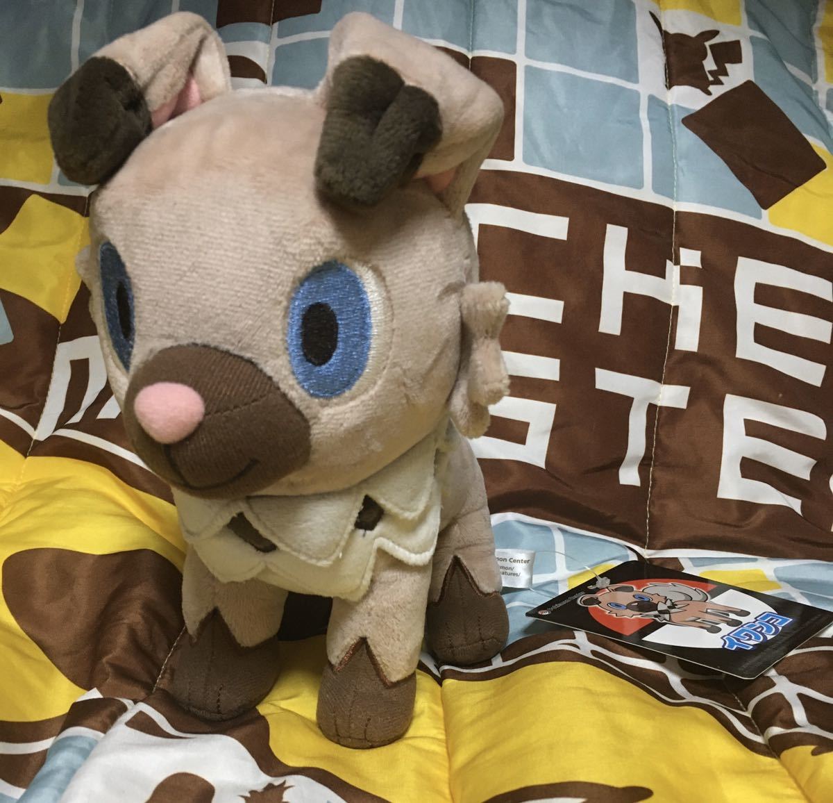 ポケットモンスター ぬいぐるみ イワンコ ポケモンセンター限定 洗える