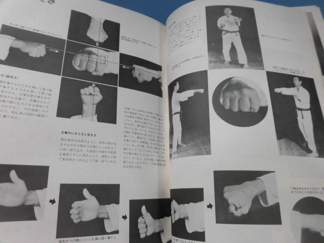 希少 精説 沖縄空手道－その歴史と技法 上地完英監修 上地流空手道協会