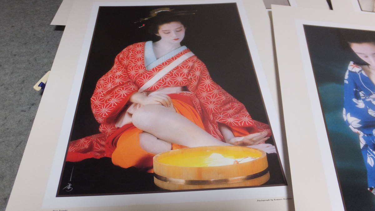 浮世絵くずし 新浮世絵くずし 星野小麿 写真集 ⁄ 写真集(星野小麿