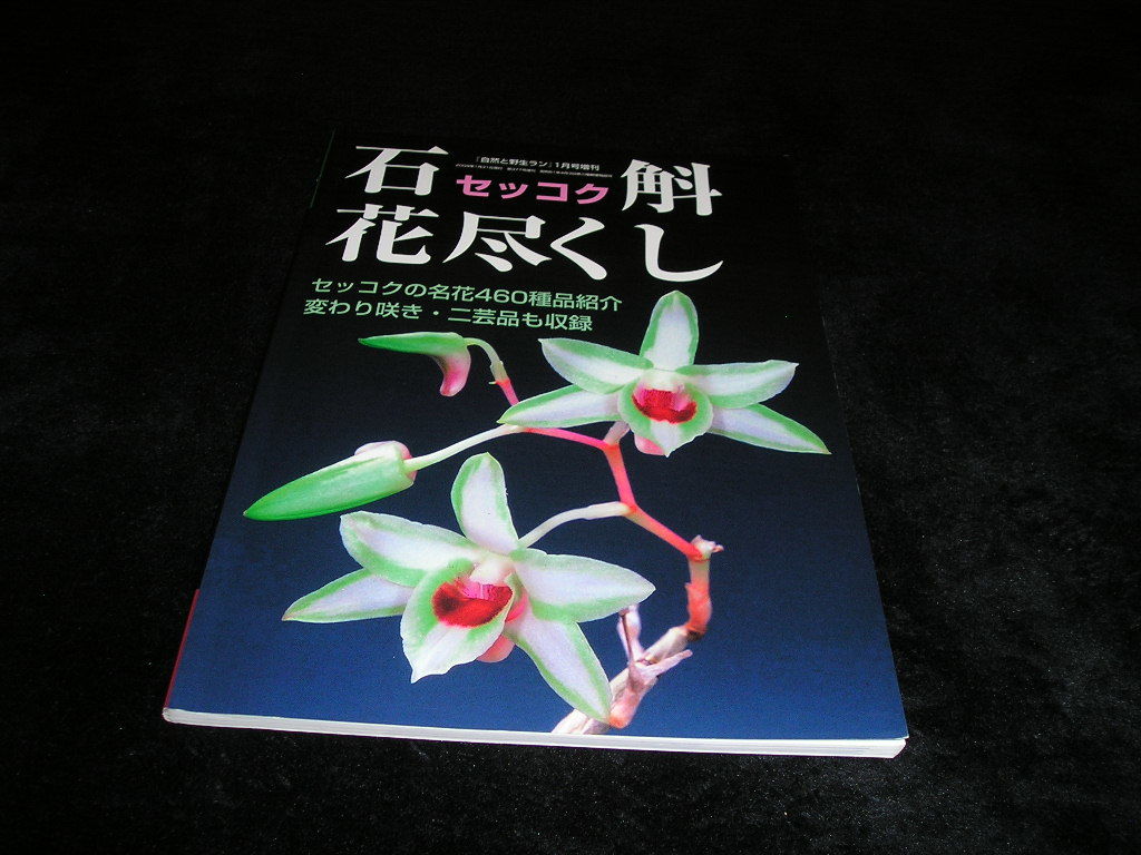 石斛 花尽くし セッコクの名花460種品紹介 変わり咲き 二芸品も収録 自然と野生ラン増刊 09年 野草 植物 売買されたオークション情報 Yahooの商品情報をアーカイブ公開 オークファン Aucfan Com