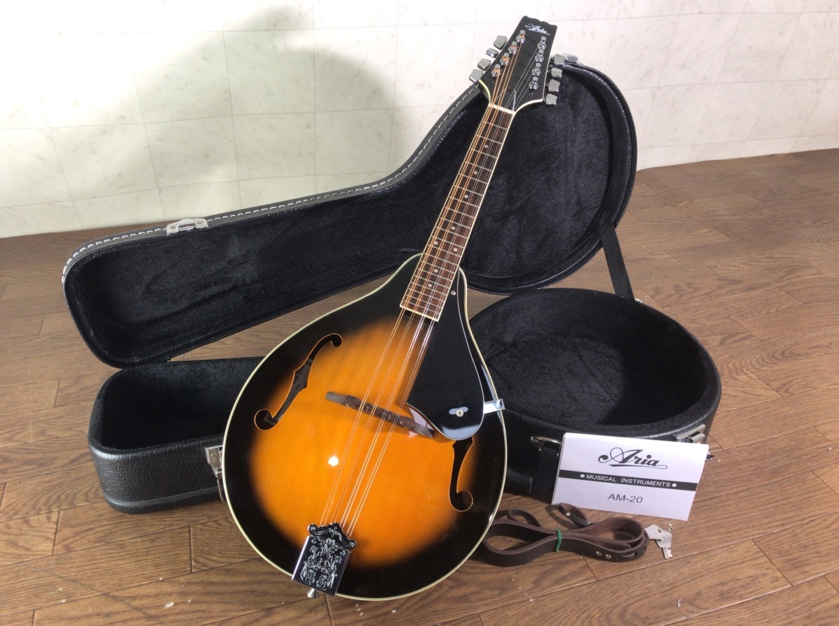 ARIA AM-40 F-タイプ フラットマンドリン /ハードケース付 フラット