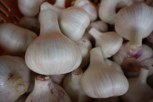 令和二年産 新にんにく 埼玉県産 無農薬 3キロ ニンニク