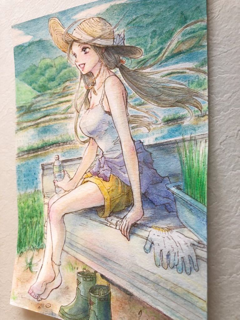 手描きイラスト オリジナル 二十四節気 夏のイラスト 『半夏生～棚田
