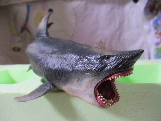 海外限定 リアルフィギュア メガロドン 24 恐竜 鮫 サメ 古代生物 生き物 売買されたオークション情報 Yahooの商品情報をアーカイブ公開 オークファン Aucfan Com