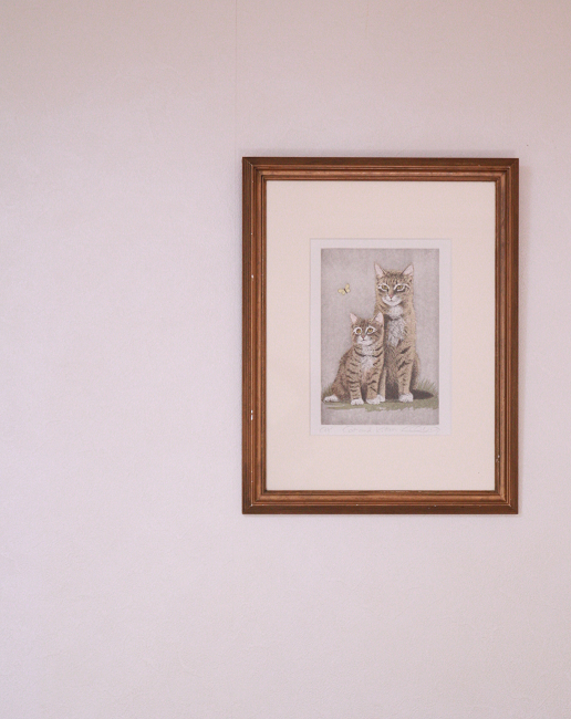 キャロル・コレット 珍しい猫の版画+手彩 風景が多いキャロル