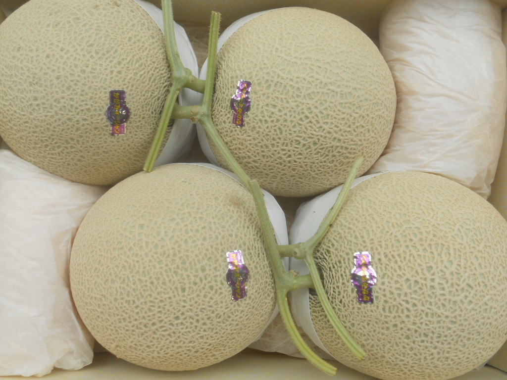 マスクメロン ☆高知産☆9，1～9，3Kg ☆隔離栽培☆ 4玉 高知の 