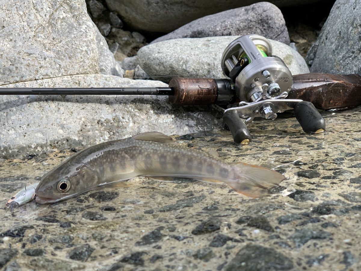 鱒レンジャー改CT48カスタム　ハンドメイドグリップバージョン_5