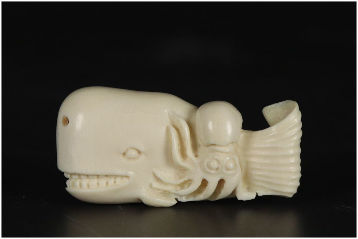 鯨 クジラと人の関わりって？太地町立くじらの博物館にて企画展 | 根付 