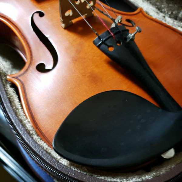 Gliga　グリガ 2000-05-02バイオリン _7