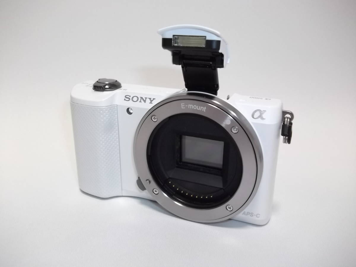 天体撮影 フルスペクトル改造 ミラーレス SONY α α5000 一眼 ソニー E