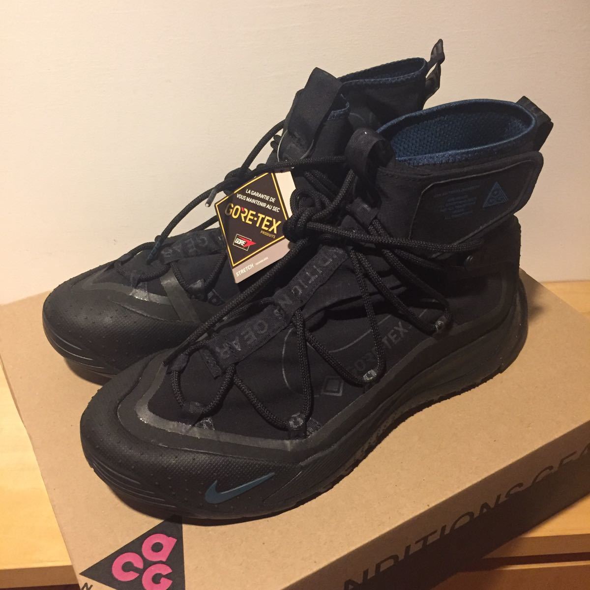 28.0cm US10 NIKE ACG AIR TERRA ANTARKTIK GORE-TEX BLACK ナイキ 