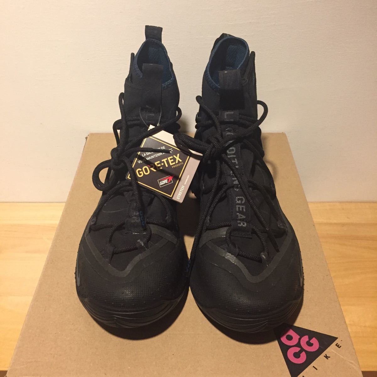 28.0cm US10 NIKE ACG AIR TERRA ANTARKTIK GORE-TEX BLACK ナイキ 