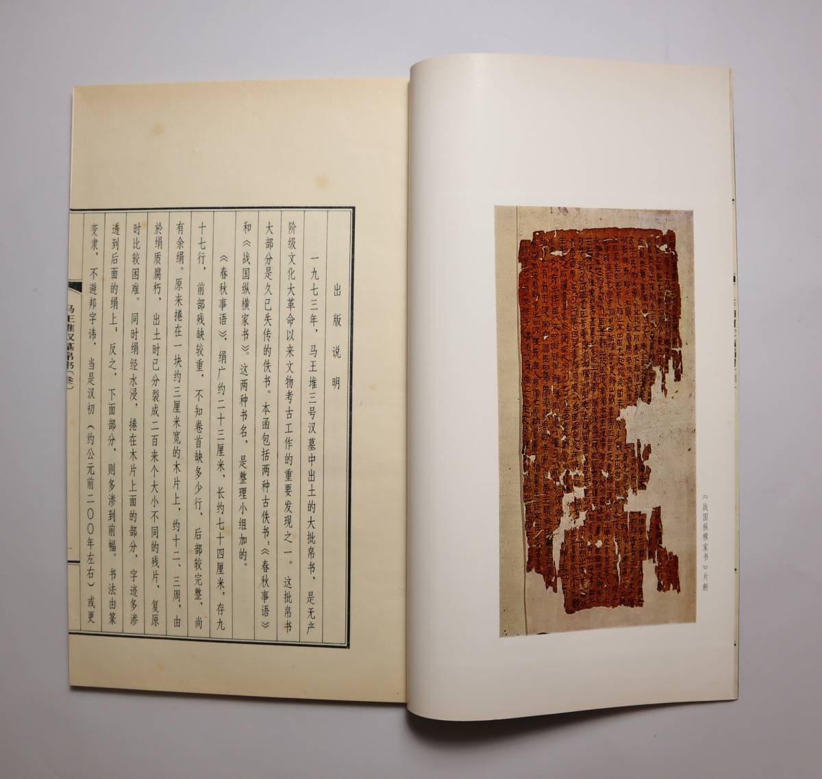 馬王堆帛書芸術 ※中国書道 [v2] 【公式通販】