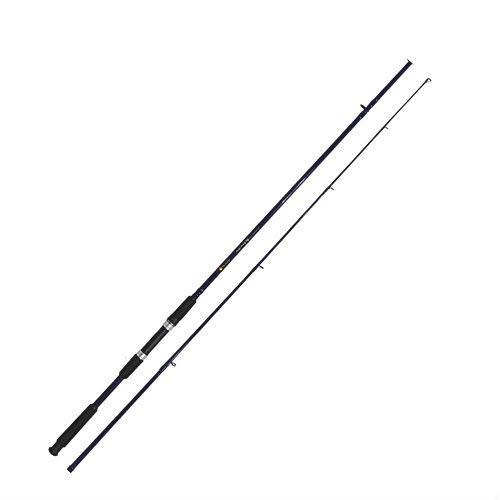【セール，安い】 入門者 シーバスロッド ビッグシルバーファイター 8.0f basic-042130(海水)｜売買されたオークション情報、yahooの商品情報をアーカイブ公開 - オークファン その他