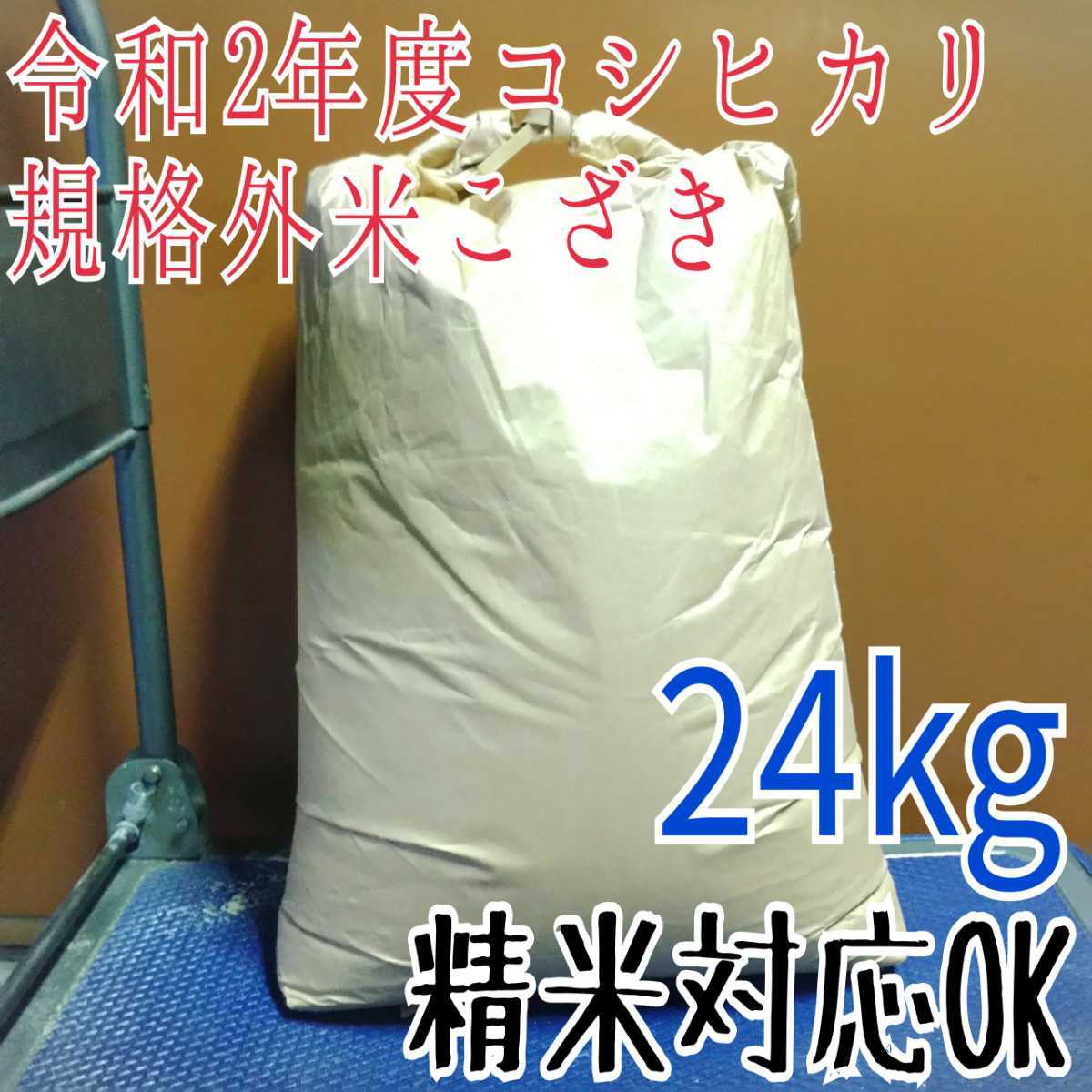 新品，低価 令和2年度 埼玉県産 新米コシヒカリ 規格外米 こざき 24kg 精米対応OK 00(コシヒカリ)｜売買されたオークション情報、yahooの商品情報をアーカイブ公開 - オークファン コシヒカリ
