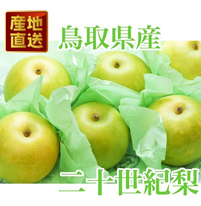 鳥取県産 二十世紀梨10kg（訳あり)35 鳥取県産 二十世紀梨 訳あり 5kg 自宅 12~15