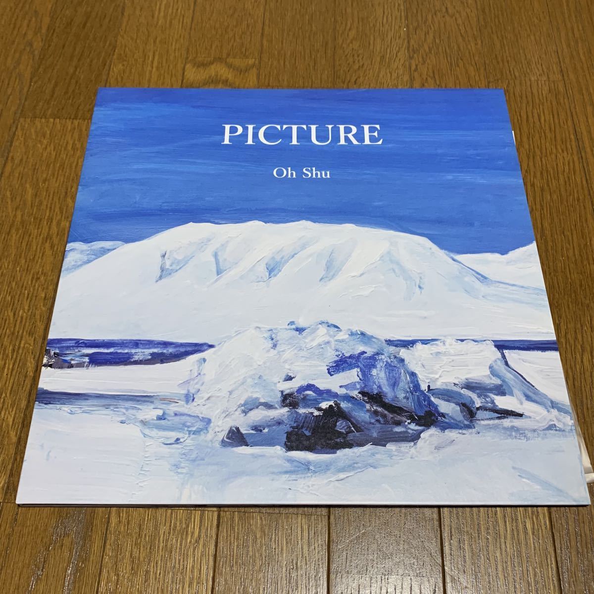 Oh Shu PICTURE レコード 【公式通販】