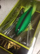 新品！デカダッジ☆シマナシタイガー♪レイド最新_1