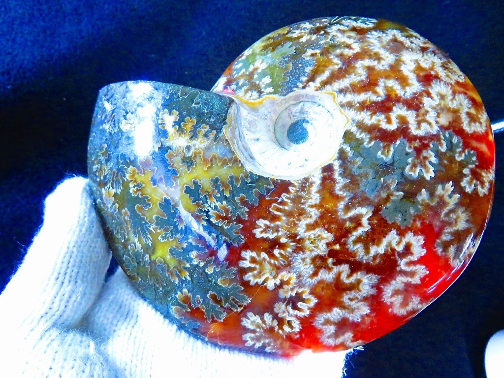 数万個の中の一個 数万個の中の一個☆上級贅品☆天然マダガスカル 絶品