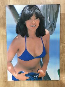 宮崎美子 ミノルタのYahoo!オークション(旧ヤフオク!)の相場・価格を