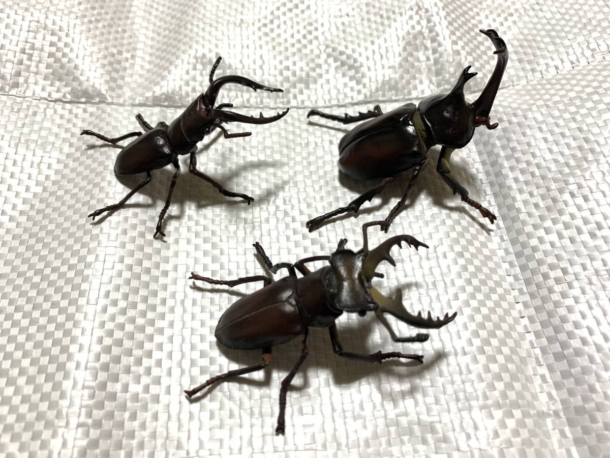 原色日本昆虫図鑑 カブトムシ ミヤマクワガタ ノコギリクワガタ 生き物 売買されたオークション情報 Yahooの商品情報をアーカイブ公開 オークファン Aucfan Com