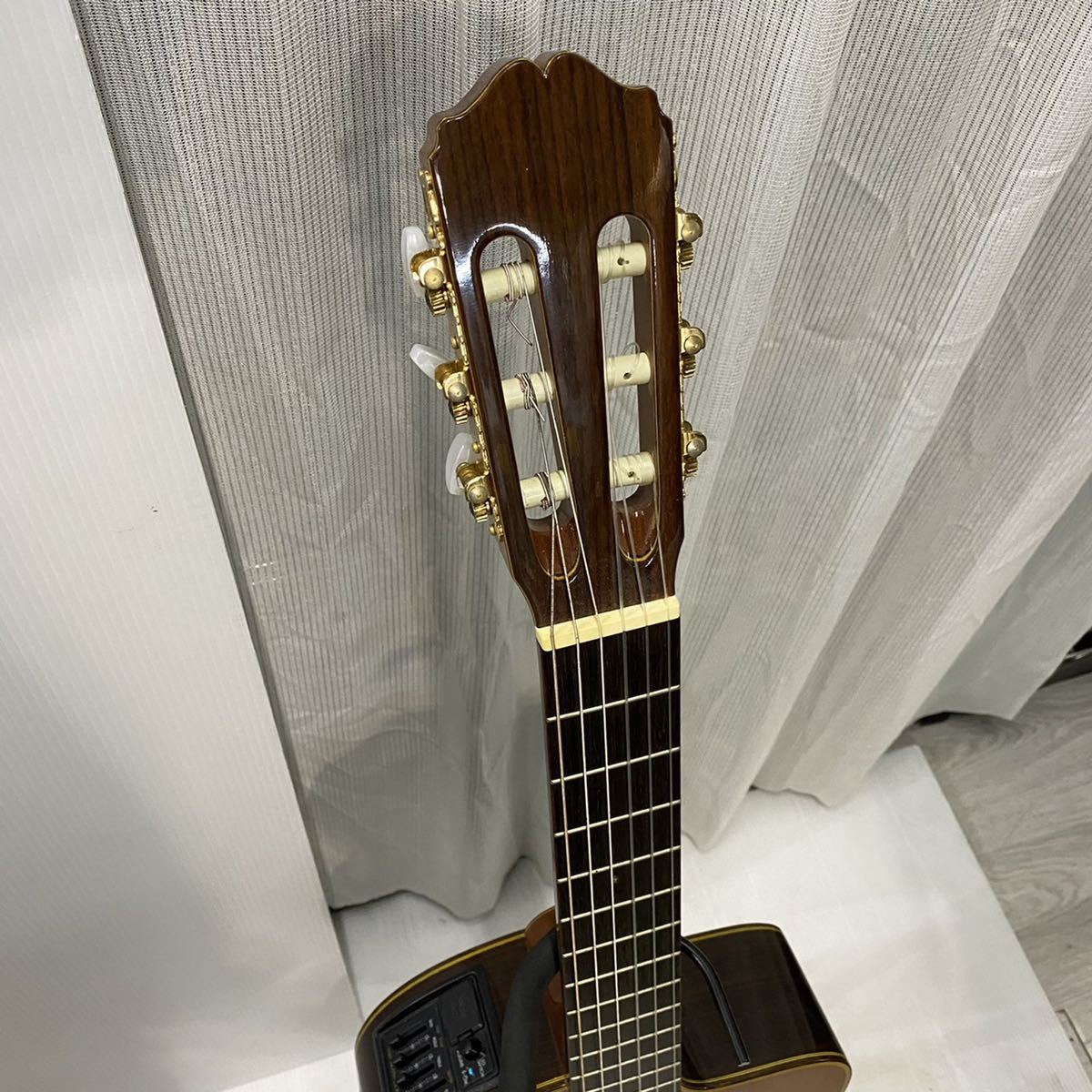タカミネ 髙峰 Takamine エレガットギター EP-50 【公式通販】
